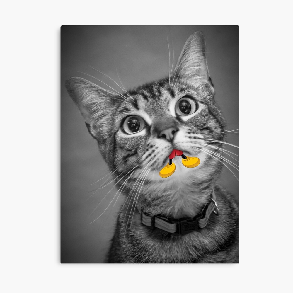 Impression Photo Chat Affame Pour Souris Par Yoitsthiskid Redbubble