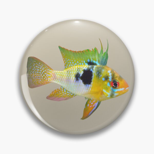 Item preview, Unique Cichlid Fish designed and sold by RainbowSpinkle.