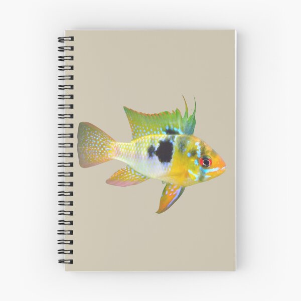 Item preview, Unique Cichlid Fish designed and sold by RainbowSpinkle.