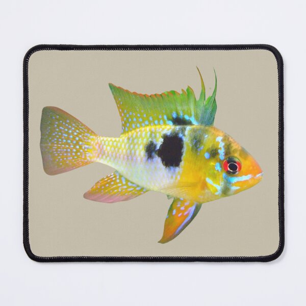 Item preview, Unique Cichlid Fish designed and sold by RainbowSpinkle.