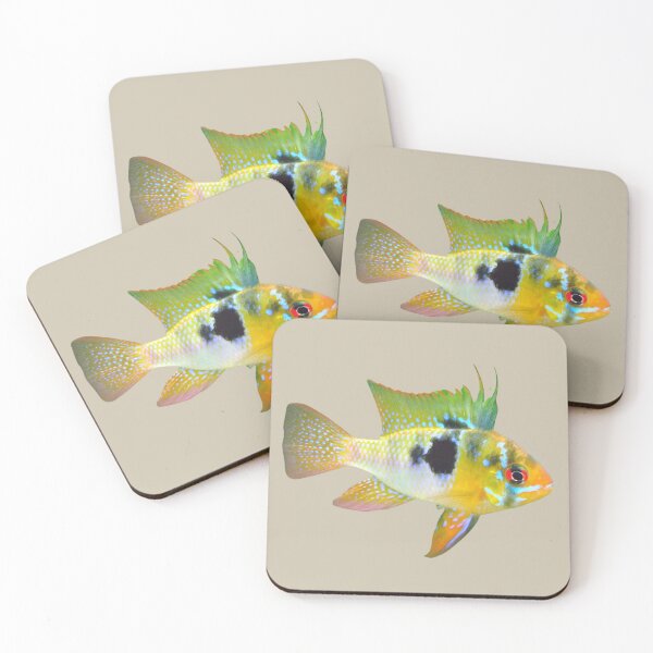 Item preview, Unique Cichlid Fish designed and sold by RainbowSpinkle.