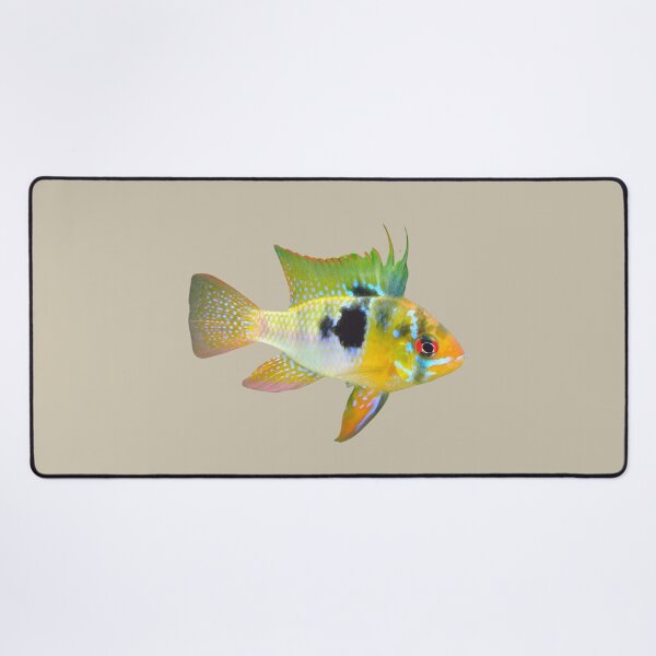 Item preview, Unique Cichlid Fish designed and sold by RainbowSpinkle.