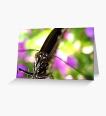 in monet's garden Greeting Card