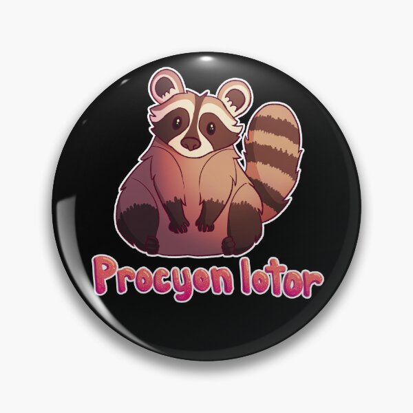 Item preview, Raccoon Scientific Name designed and sold by ghostcashew.
