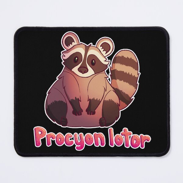Item preview, Raccoon Scientific Name designed and sold by ghostcashew.