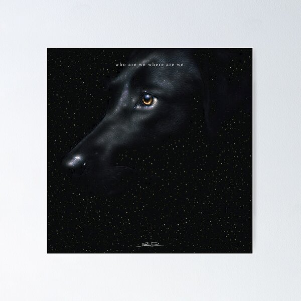 Cosmic Dog — "Who Are We Where Are We" Collection Poster