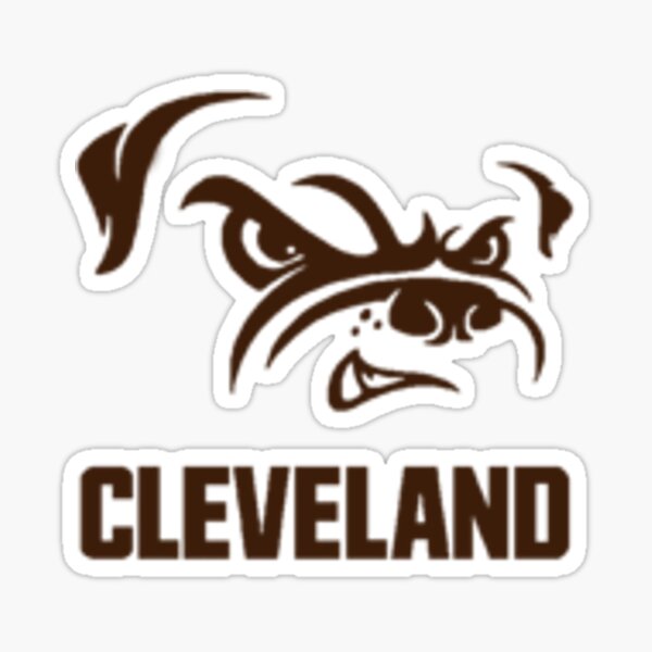 Gift guide for Cleveland sports fans: Browns, Indians, Cavaliers