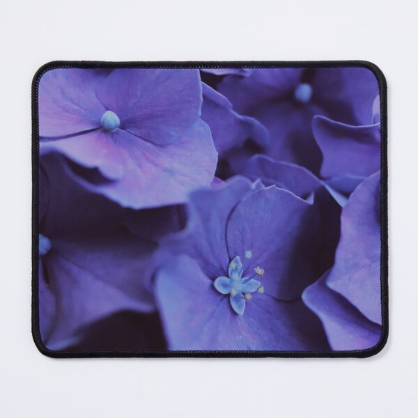 Item preview, Hydrangeas in Periwinkle  designed and sold by LaPetiteStudio.