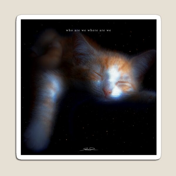 Cosmic Cat II — "Who Are We Where Are We" Collection Magnet