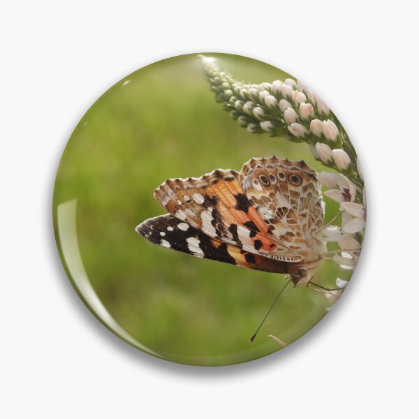 Item preview, Painted lady butteryl (Vanessa cardui) on a flower - gooseneck loosestrife designed and sold by Sintija Valucka.