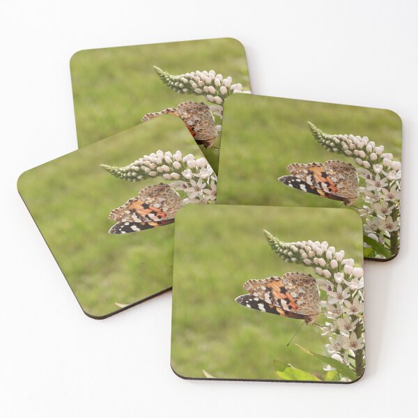 Item preview, Painted lady butteryl (Vanessa cardui) on a flower - gooseneck loosestrife designed and sold by Sintija Valucka.