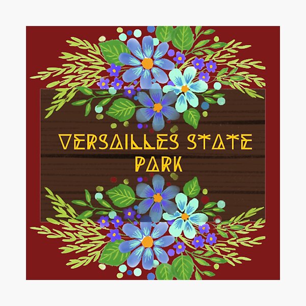 Aperçu de l'œuvre Versailles créée et vendue par Showmee.