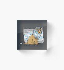 DemiBoy Pride Lion Acrylic Block