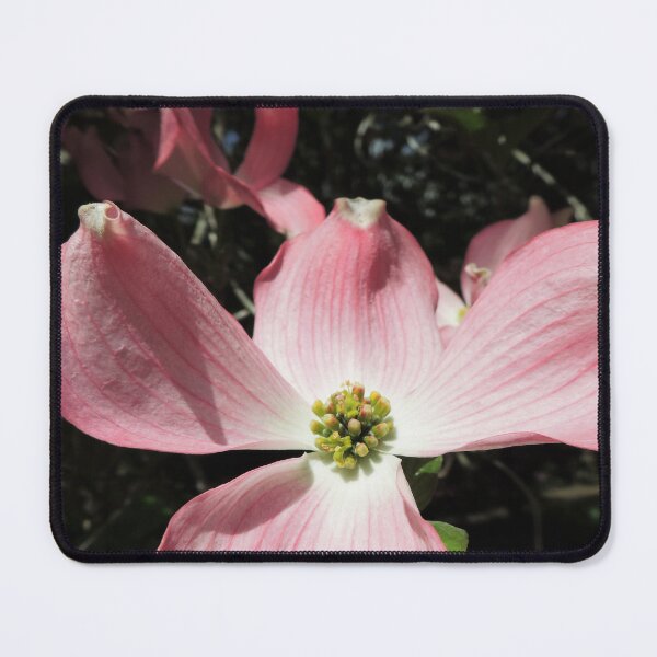 Item preview, Pink "Dogwood" or "Cornus" designed and sold by Marilyn Harris.