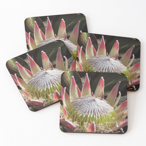 Item preview, The King Protea (Protea cynaroides) designed and sold by Marilyn Harris.