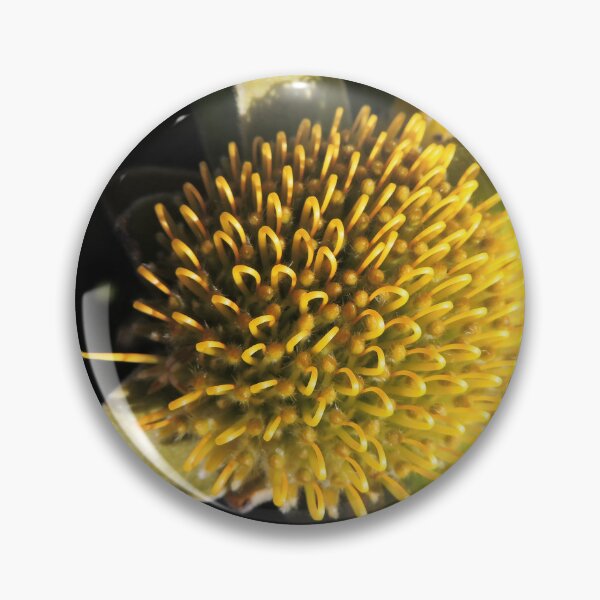 Item preview, "One Pin" of an Overberg pincushion (Leucospermum oleifolium) designed and sold by Marilyn Harris.
