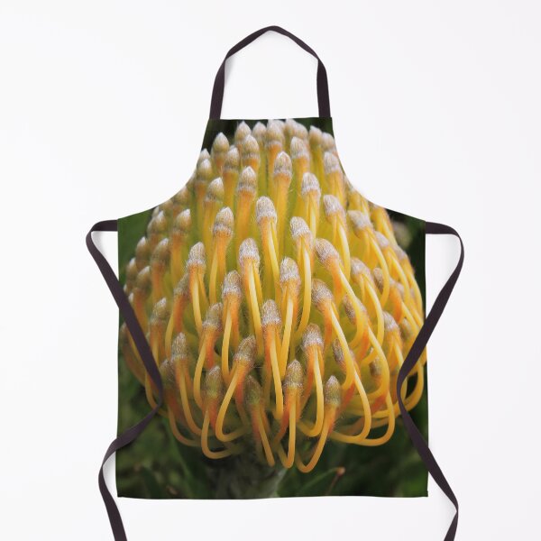 Item preview, Leucospermum cordifolium designed and sold by Marilyn Harris.