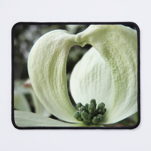 Item preview, Dancer of a White "Dogwood" or "Cornus" designed and sold by Marilyn Harris.