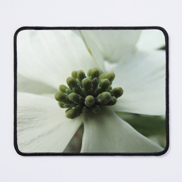 Item preview, White "Dogwood" or "Cornus" designed and sold by Marilyn Harris.