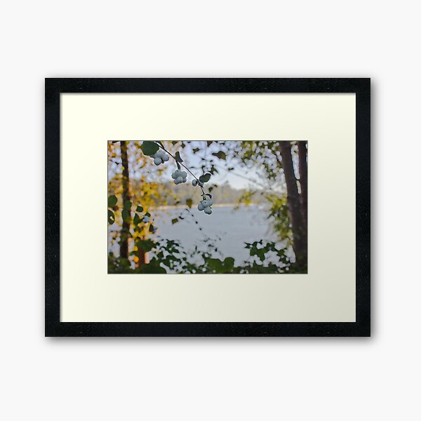 Fall on the Fraser Framed Art Print