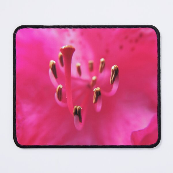 Item preview, Inner Sanctum of a Rhododendron Nova Zembla designed and sold by Marilyn Harris.
