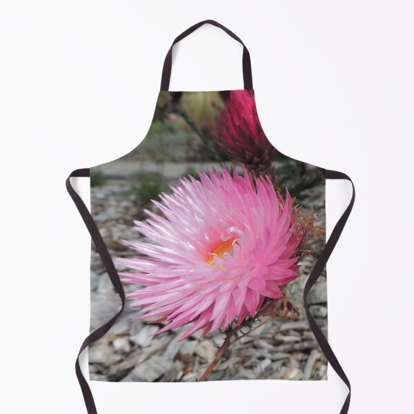 Item preview, Pink Paper Daisies (Rhodanthe chlorocephala) designed and sold by Marilyn Harris.