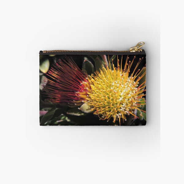 Item preview, Overberg pincushion (Leucospermum oleifolium) designed and sold by Marilyn Harris.