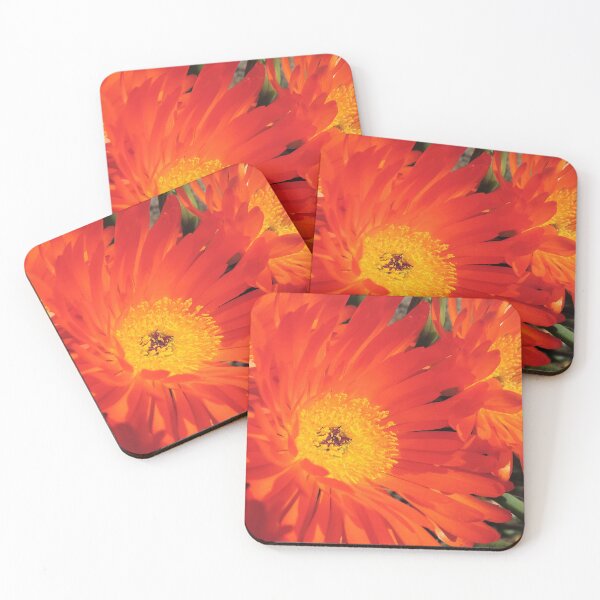 Item preview, Spring Blooms of an Orange Ice Plant  designed and sold by Marilyn Harris.