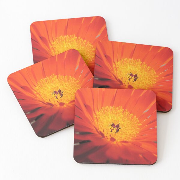 Item preview, Single Orange Ice Plant (Carpobrotus)  designed and sold by Marilyn Harris.