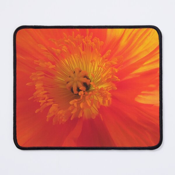 Item preview, Orange Poppy Sunburst designed and sold by Marilyn Harris.