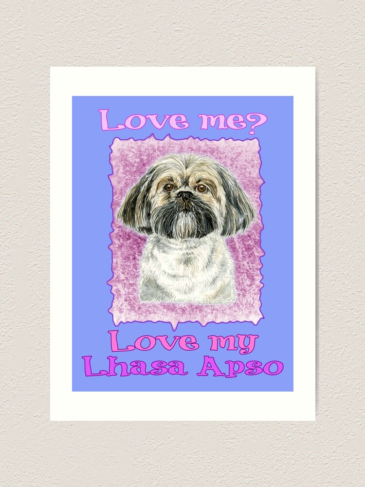 my lhasa apso