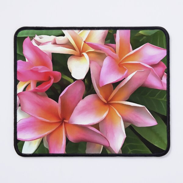 Artikelvorschau, Künstlerischer Blütenkranz aus hellrosa Frangipani entworfen und verkauft von taiche.