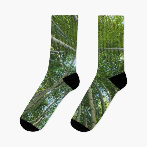 Item preview, The straight bamboo forest of Sosaaewon, Korea's representative garden scenic spot No. 40. designed and sold by human8891.