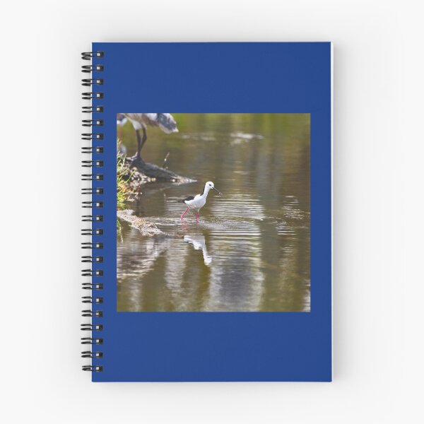 Item preview, A Black Winged Stilt In An Estuary With A Small Fish In Its Beak Chiffon Top designed and sold by AletheaPerry.