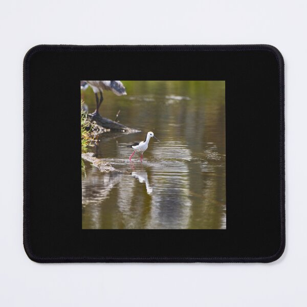 Item preview, A Black Winged Stilt In An Estuary With A Small Fish In Its Beak Chiffon Top designed and sold by AletheaPerry.
