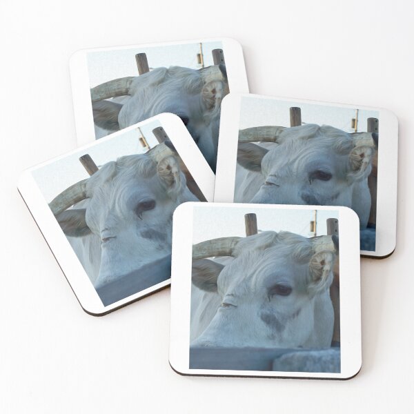 Item preview, Cow Animal Fair Cattle Bull Carnival    designed and sold by ArtsyOverload.