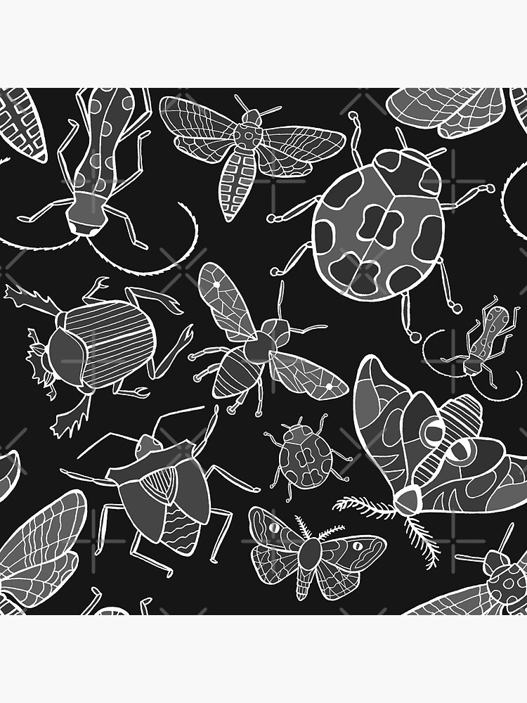 Bugs by kmstudio