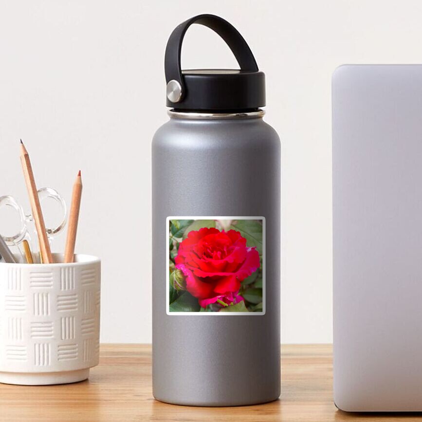 Rosa Sticker
