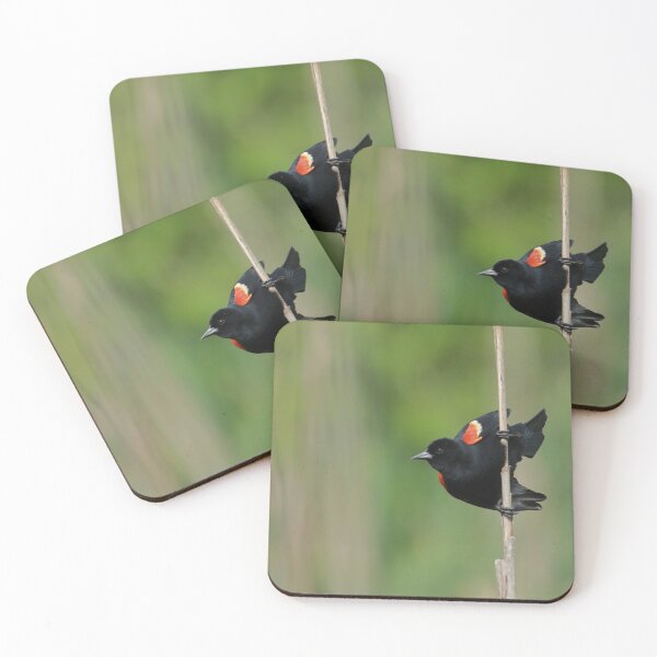 Item preview, Red Winged Blackbird    |    Nature designed and sold by RedHandedOD.