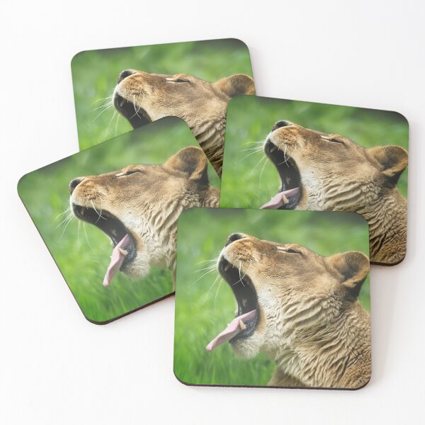 Item preview, Yawning Lion designed and sold by rawshutterbug.