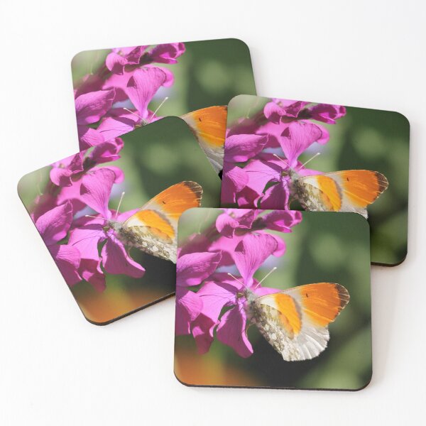 Item preview, Orange tip on Honesty designed and sold by cuprum.