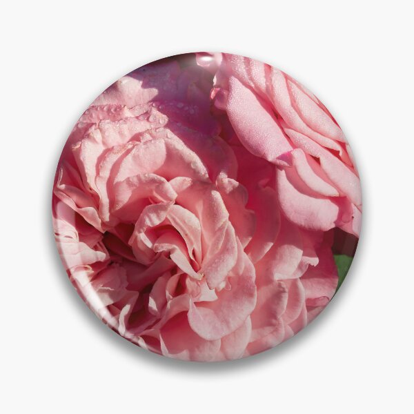 Item preview, The Pink Rose Ashley designed and sold by Jouko Lehto Photography.