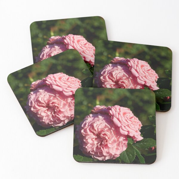 Item preview, The Pink Rose Ashley designed and sold by Jouko Lehto Photography.