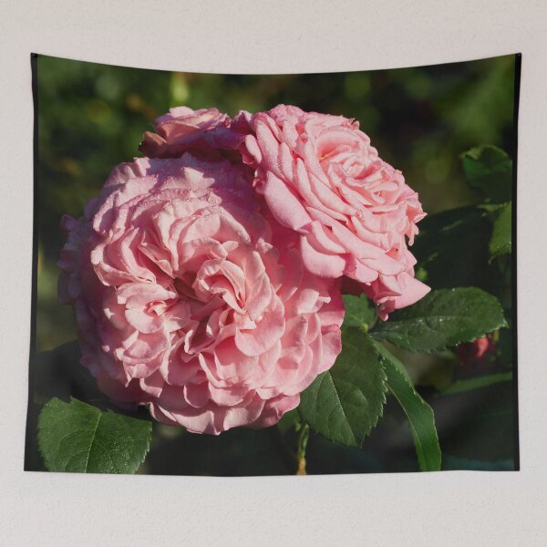 Item preview, The Pink Rose Ashley designed and sold by Jouko Lehto Photography.