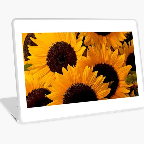 Sunflowers II - Cool Stuff Laptop Skin