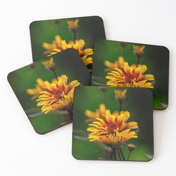 Item preview, Heliopsis "Burning Hearts" designed and sold by Michael Cummings.