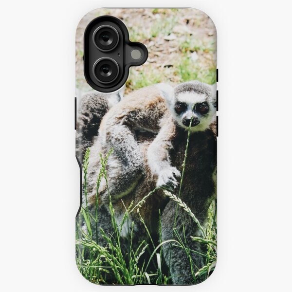 Lemurs iPhone Tough Case