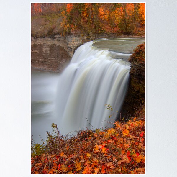Aperçu de l'œuvre Middle Falls créée et vendue par snaptoit.