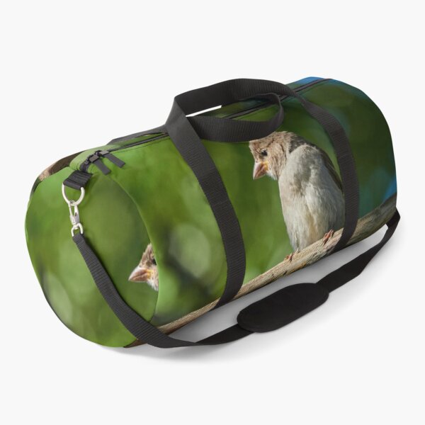 Item preview, Crumbhawk. House Sparrow designed and sold by Jouko Lehto Photography.
