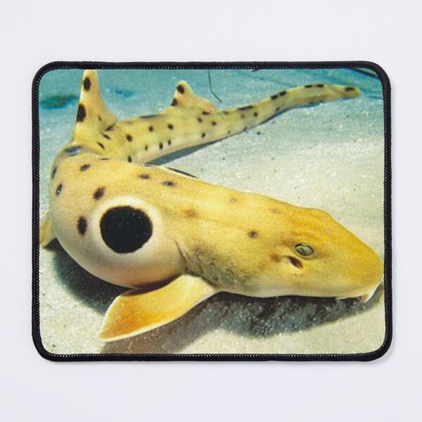 Item preview, Epaulette Shark trends designed and sold by elwandacunniff.